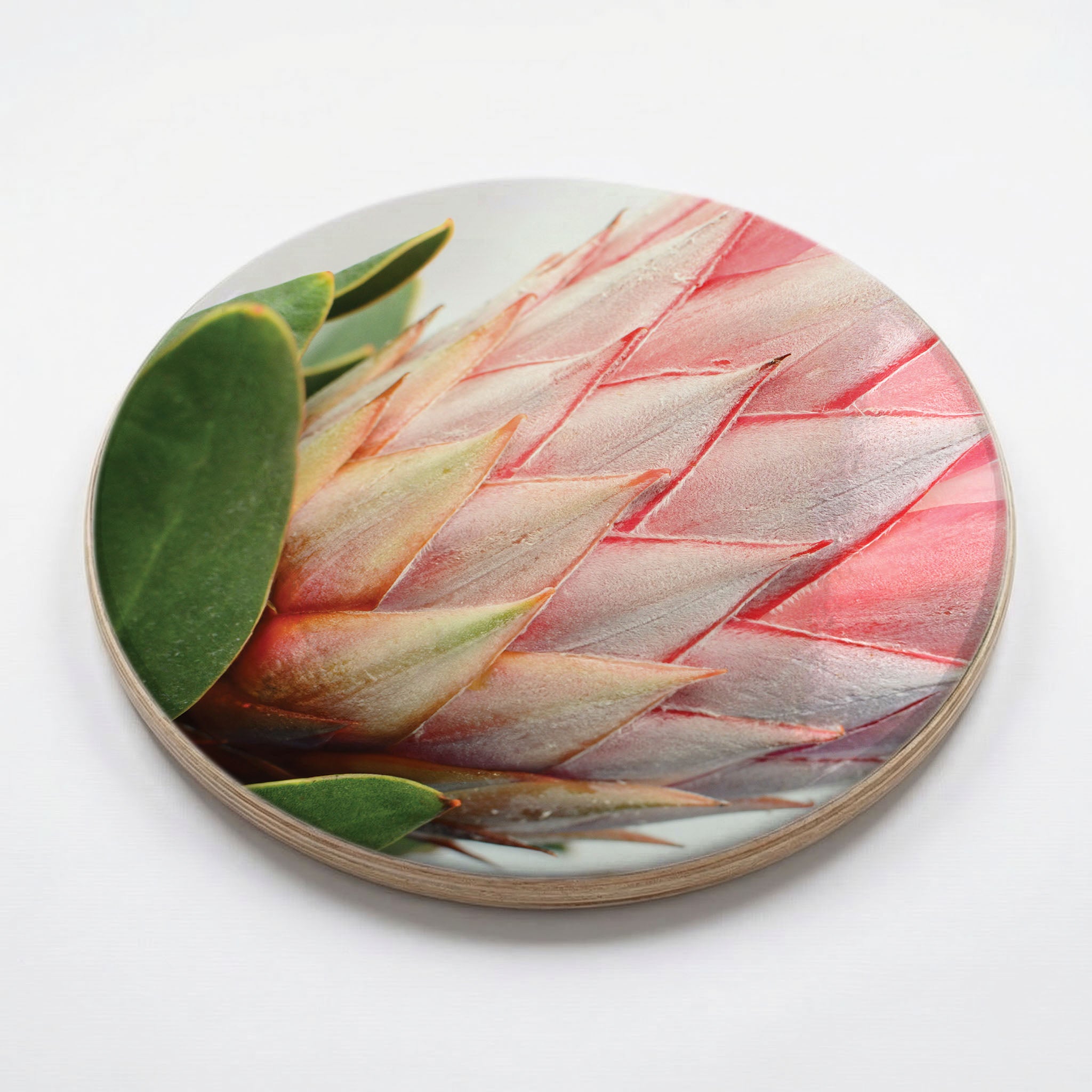 THE SIDE PROTEA CHEESEBOARD