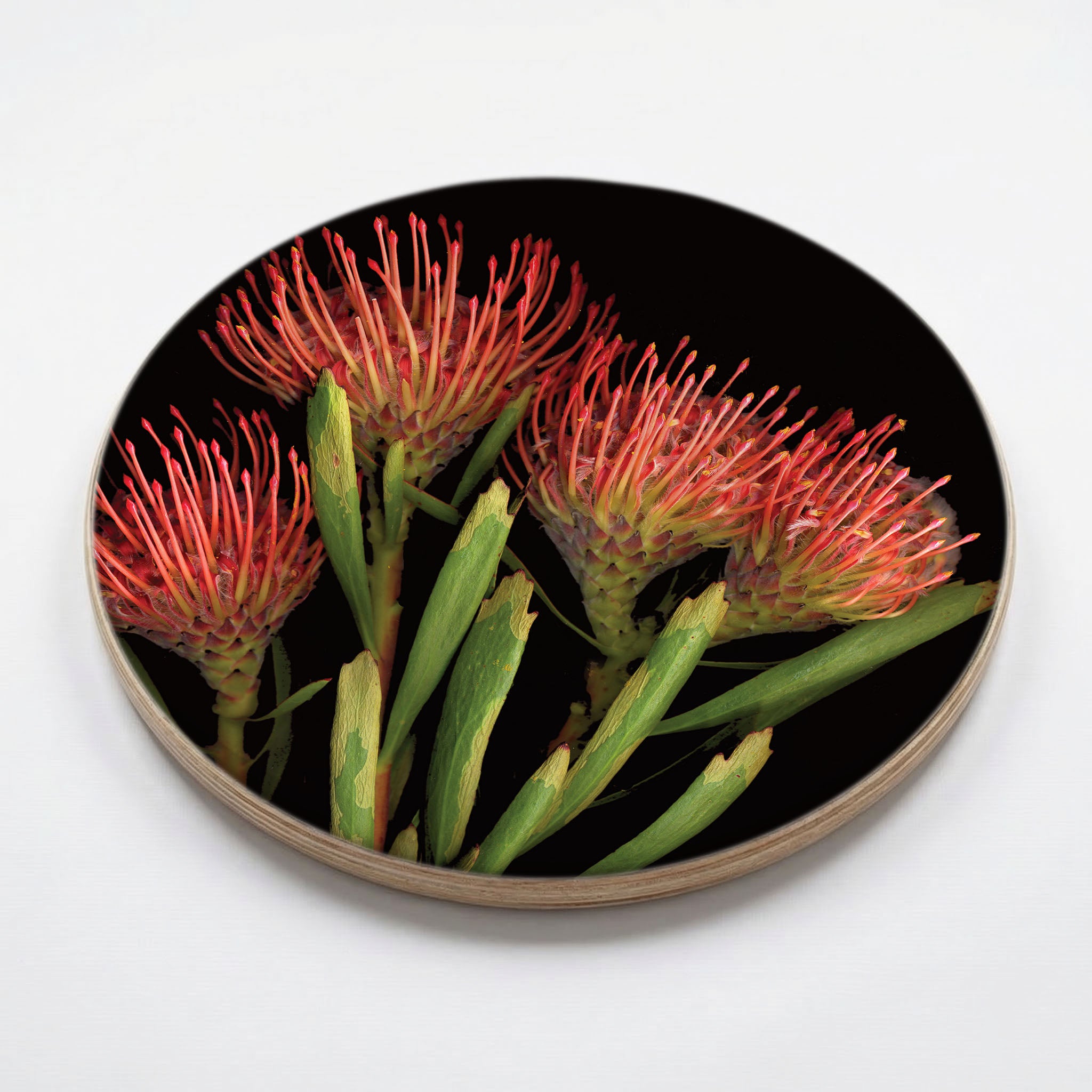 FIREWORK PINCUSHION CHEESEBOARD