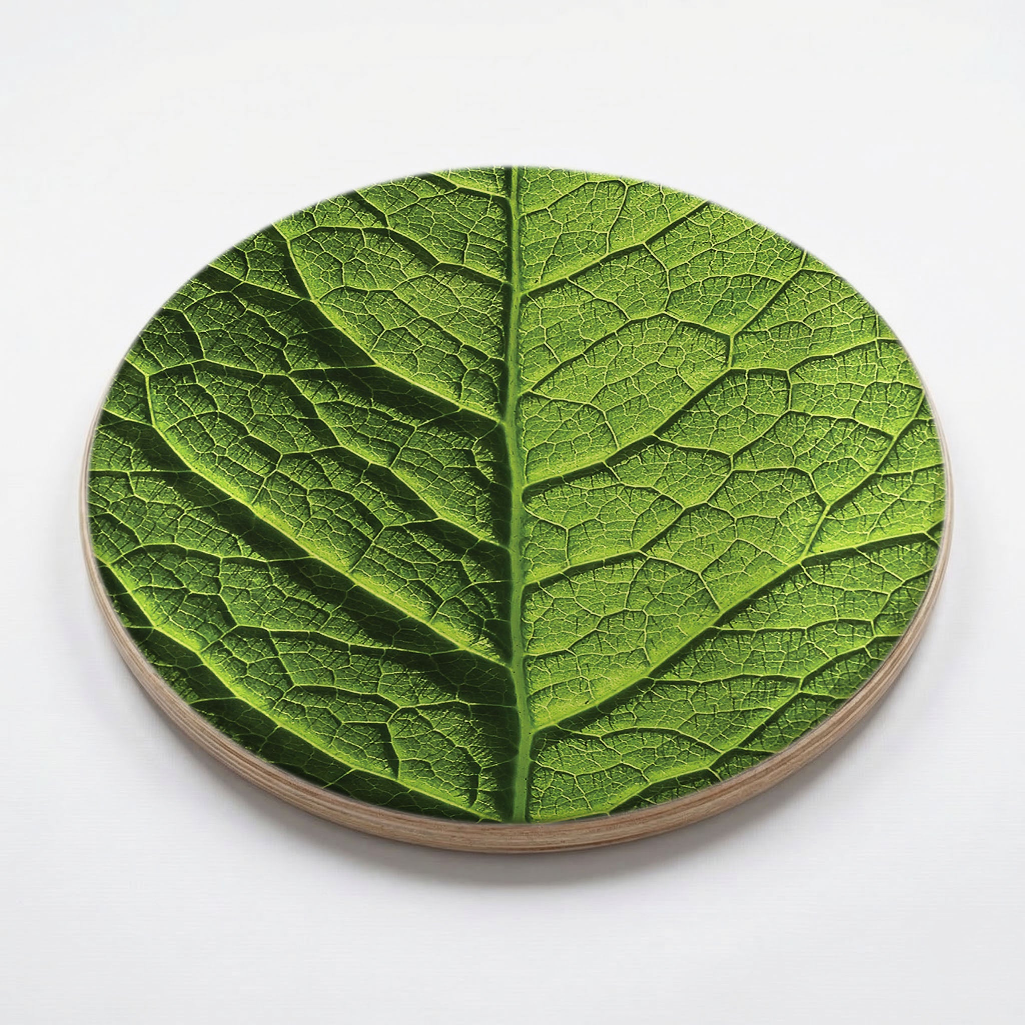 GREEN VEINS CHEESEBOARD