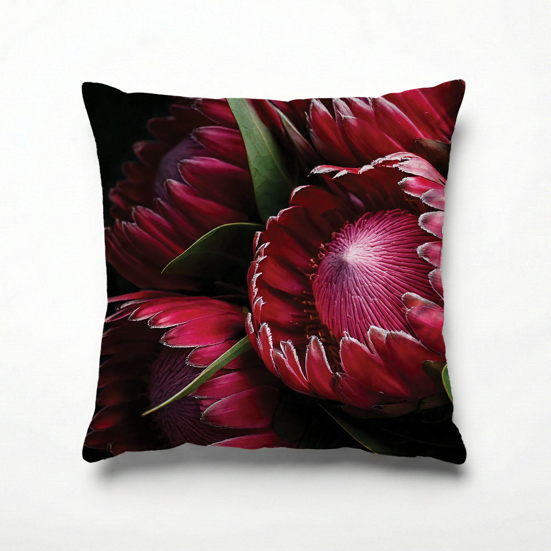 NOCTURNAL PROTEAS SCATTER CUSHION