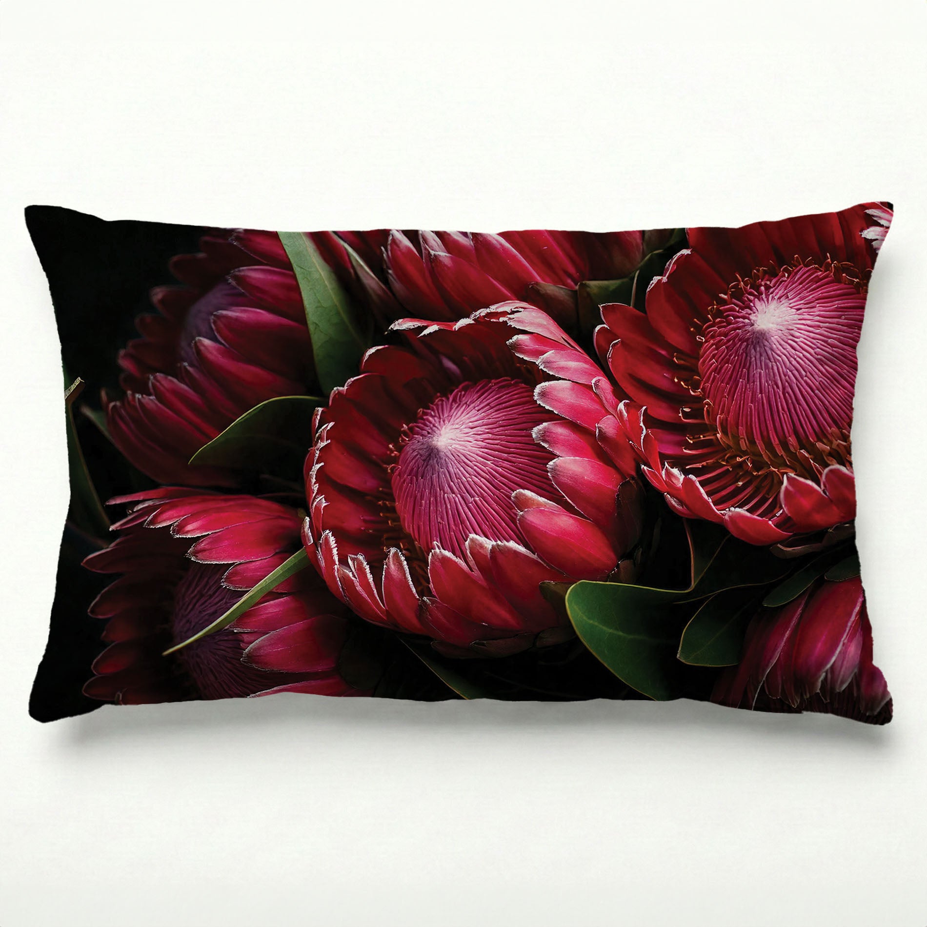 NOCTURNAL PROTEAS SCATTER CUSHION