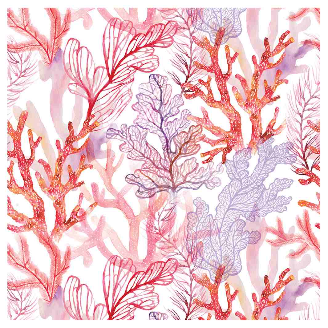 CORAL KISS SQUARE SCATTER CUSHION