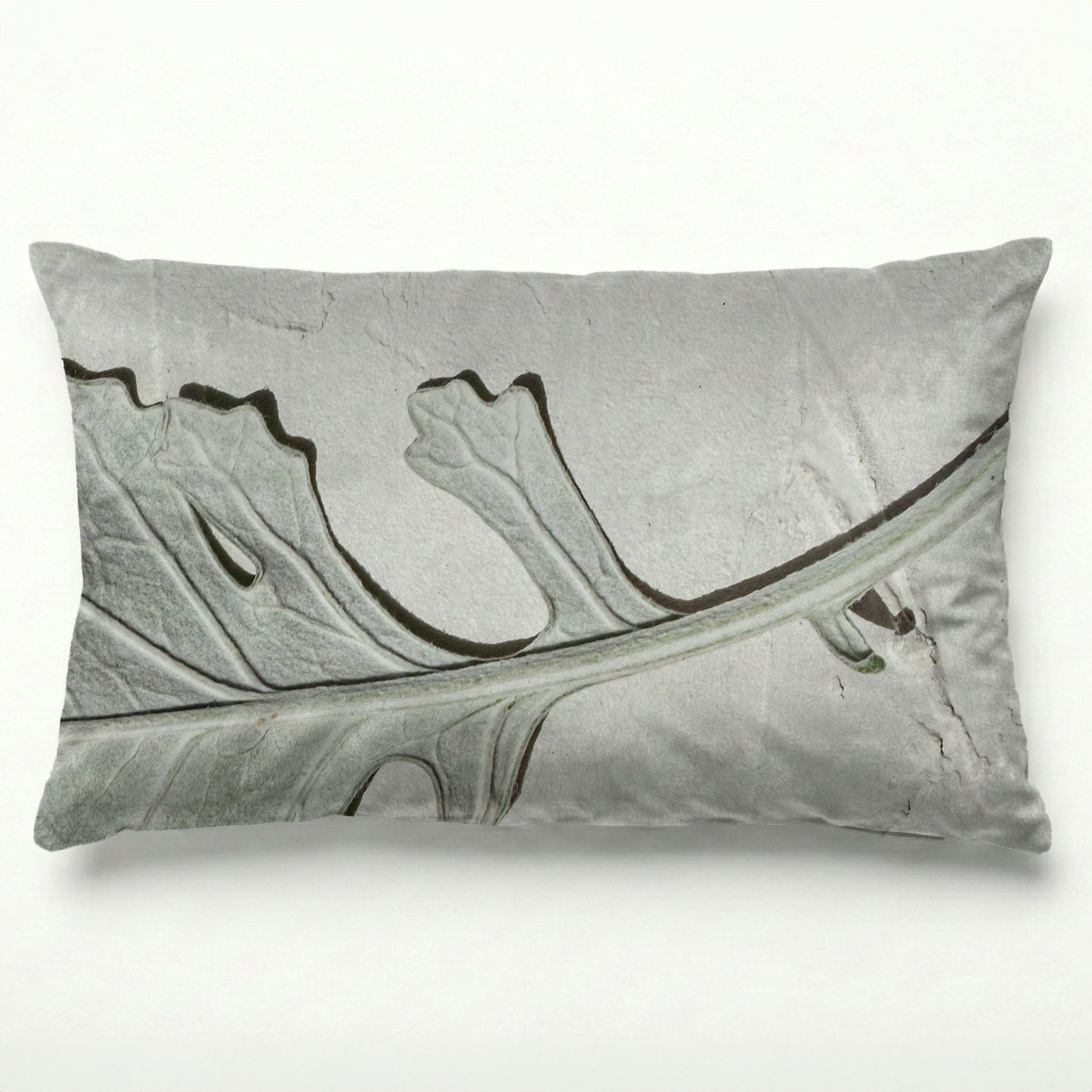 LEAVES GREY MONOCHROME LEAF STEM SCATTER CUSHION
