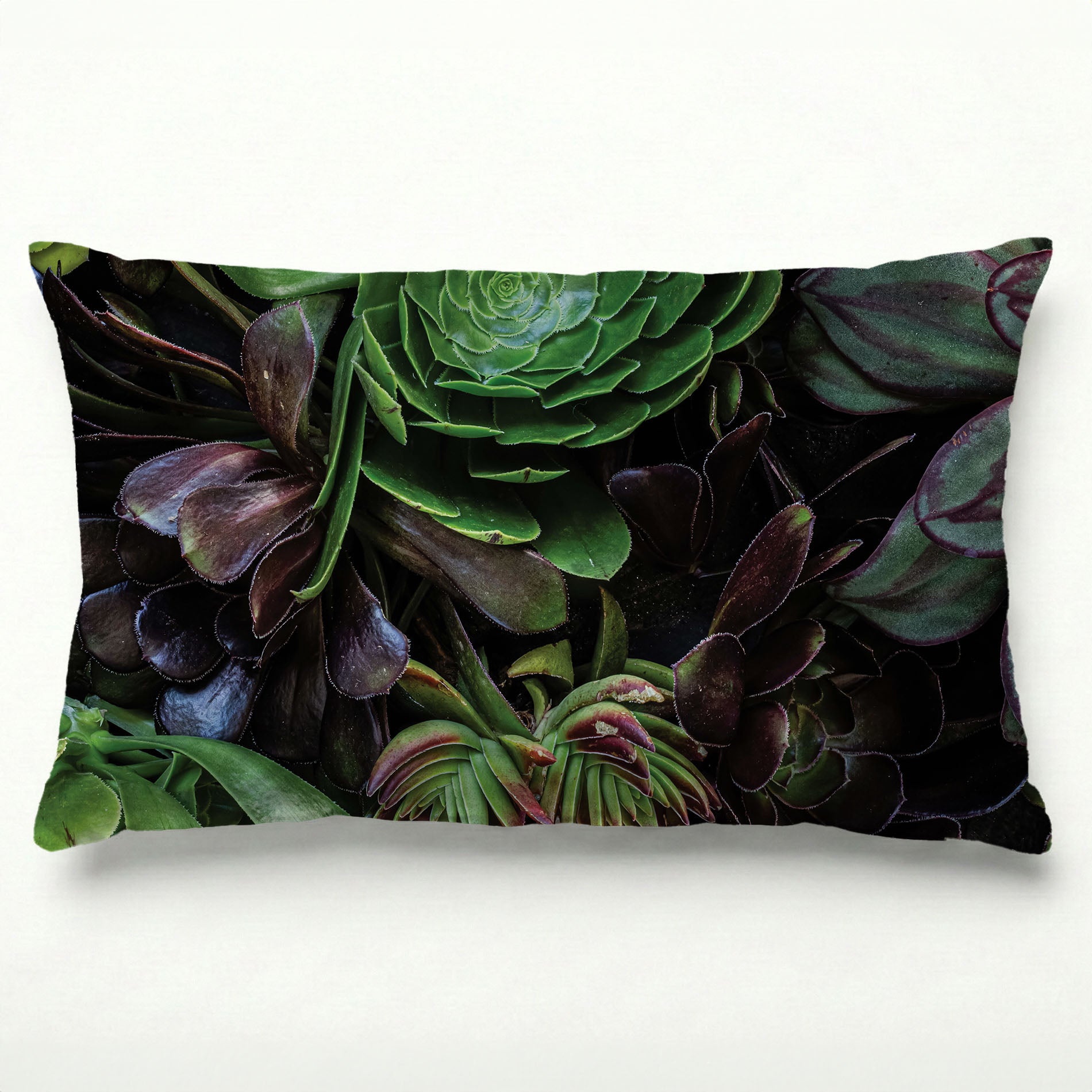 NATURAL GREEN AND PURPLE ALOE GARDEN SCATTER CUSHION