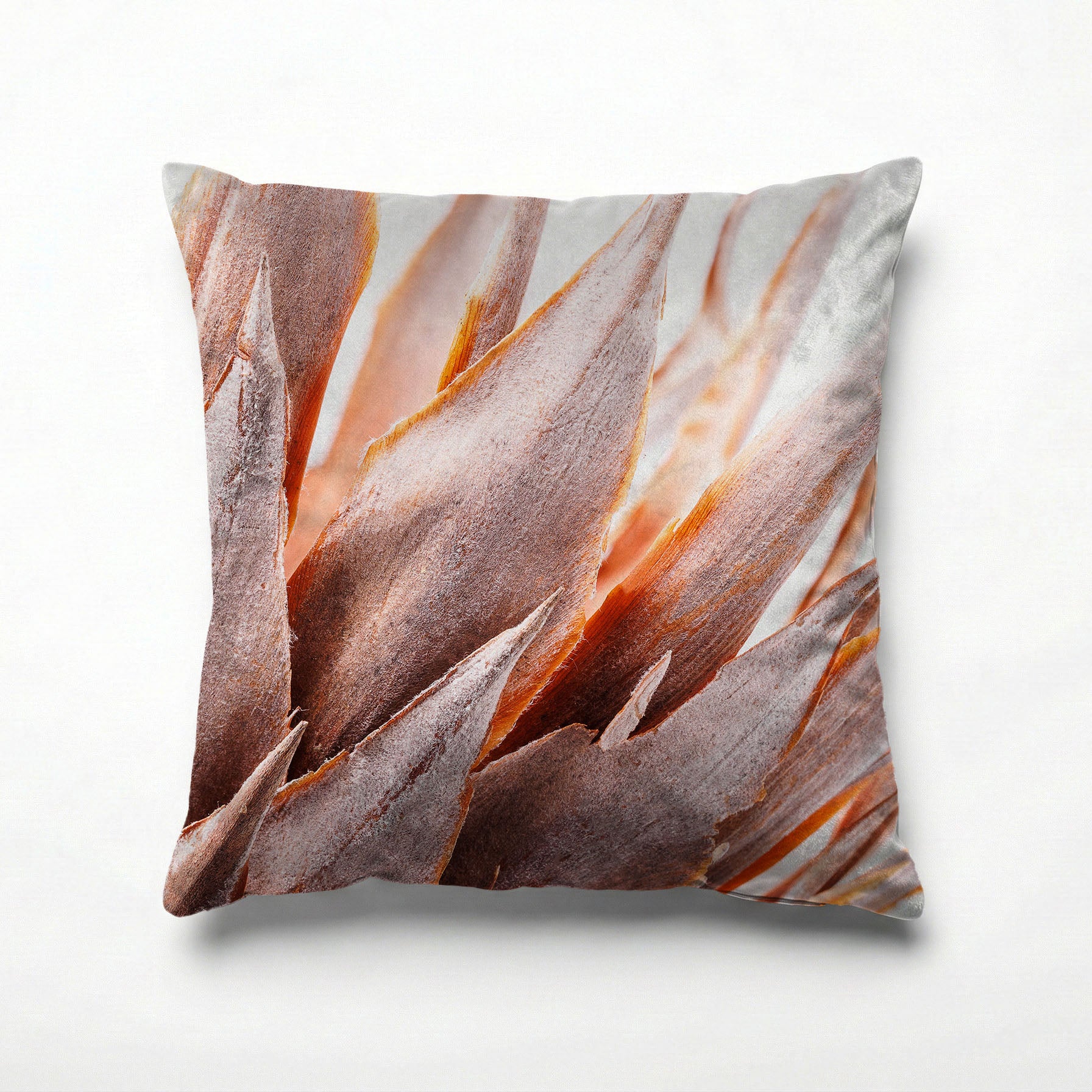 DRIED RUSTIC PINK PROTEA SCATTER CUSHION