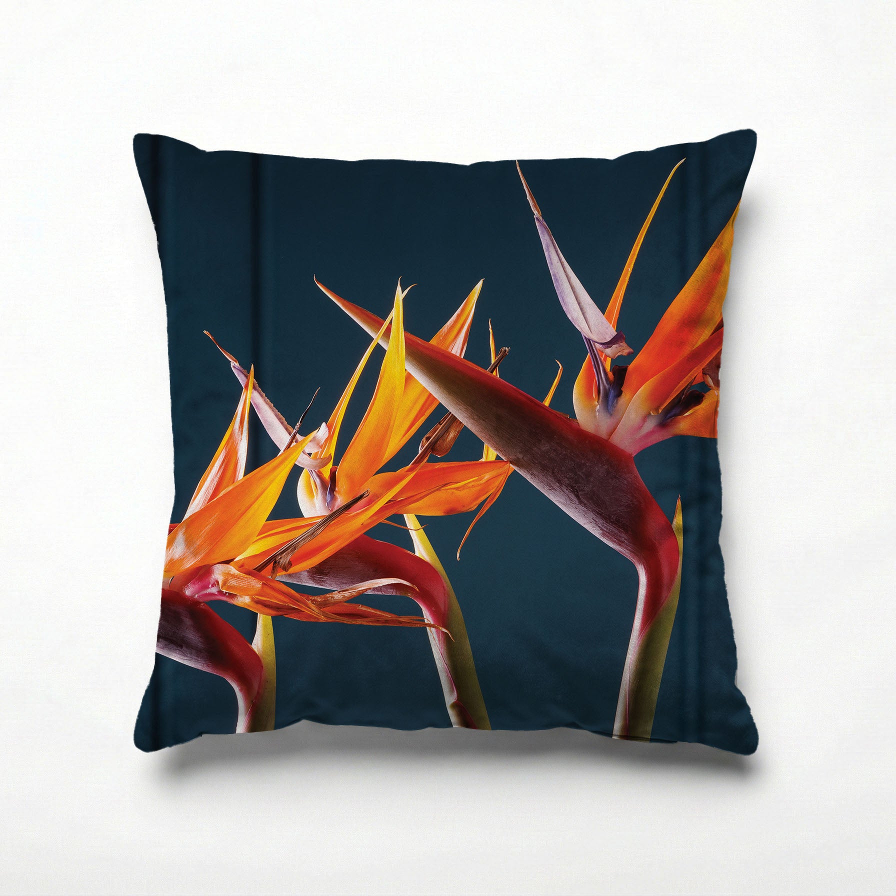 STRELITZIA TRIO ON RICH BLUE SCATTER CUSHION