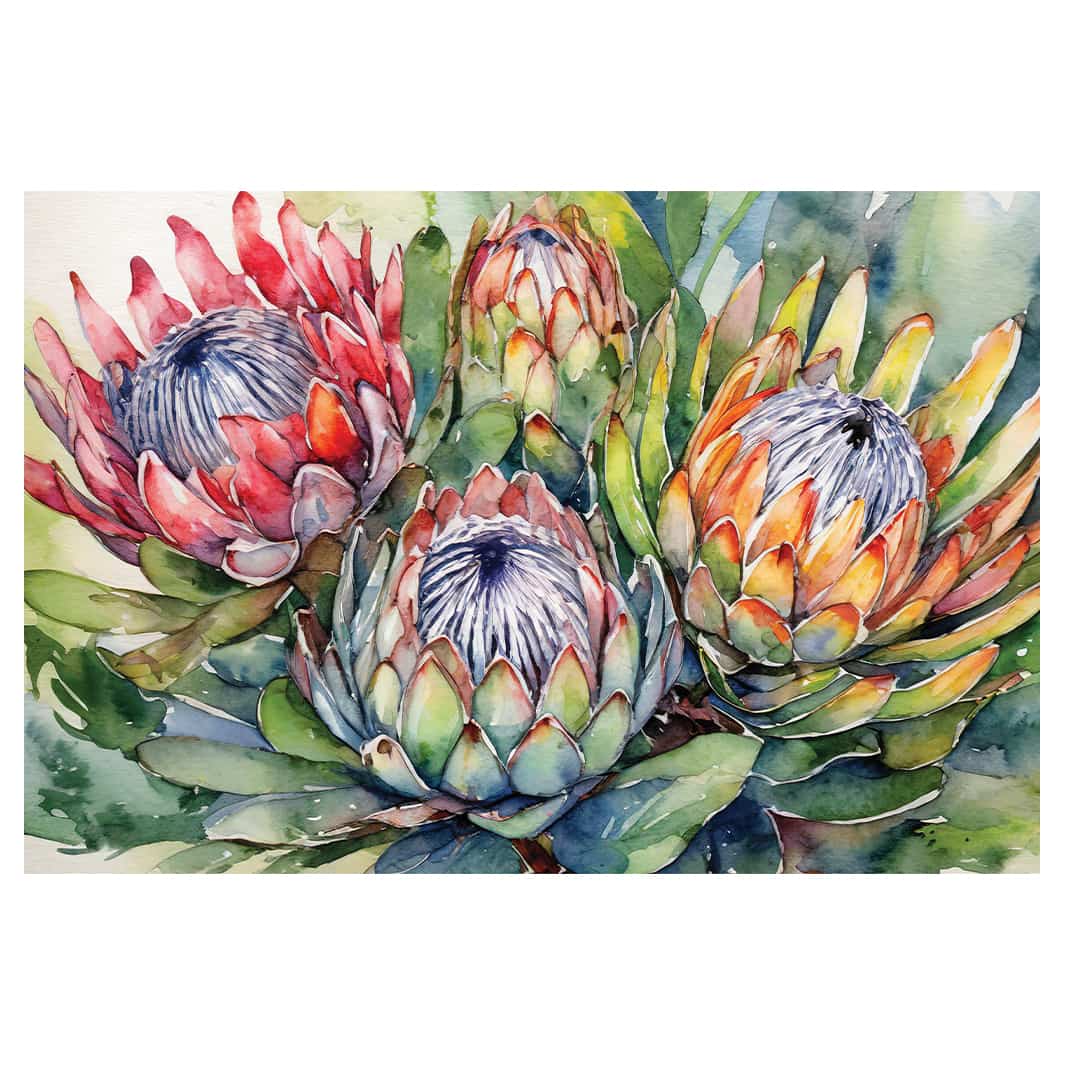 FOUR WATERCOLOUR PROTEAS TABLECLOTH