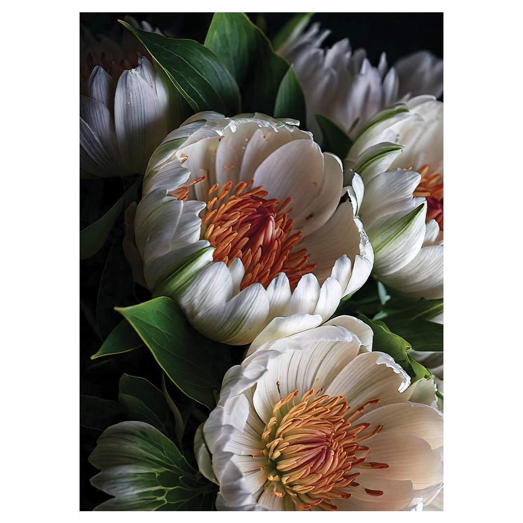 CELESTIAL BLOOMS TEA TOWEL