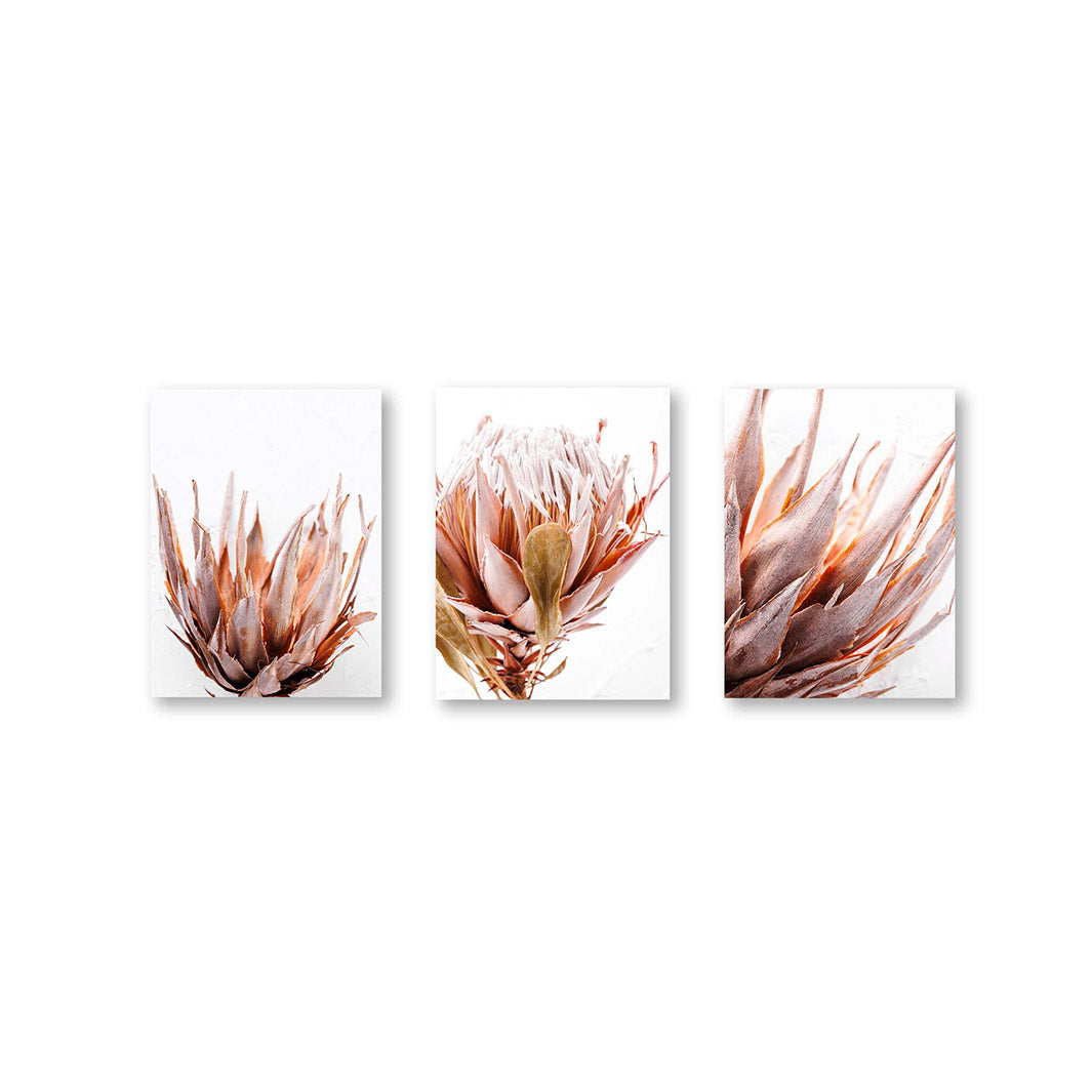 LIGHT PROTEA AMBIENCE BIRCH BLOCKS 3 PIECE COLLAGE