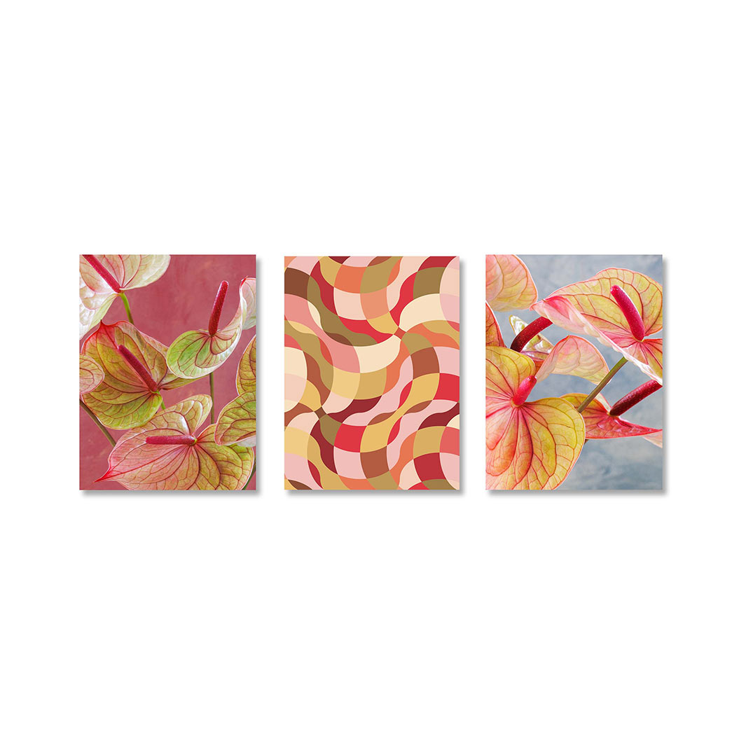 VIBRANT RETRO ANTHURIUM PINK BIRCH BLOCKS 3 PIECE COLLAGE