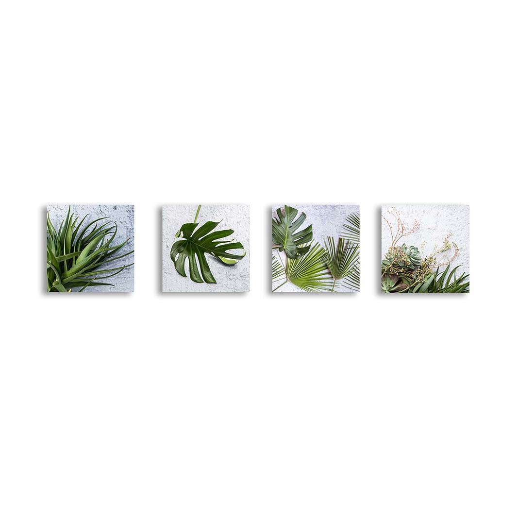 GREEN AND BOLD PALM AND ALOE LEAVES BIRCH BLOCK 4 PIECE COLLAGE