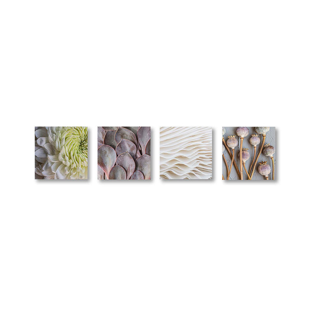 SOFT CONTRAST YELLOW AND PURPLE BIRCH BLOCK 4 PIECE COLLAGE