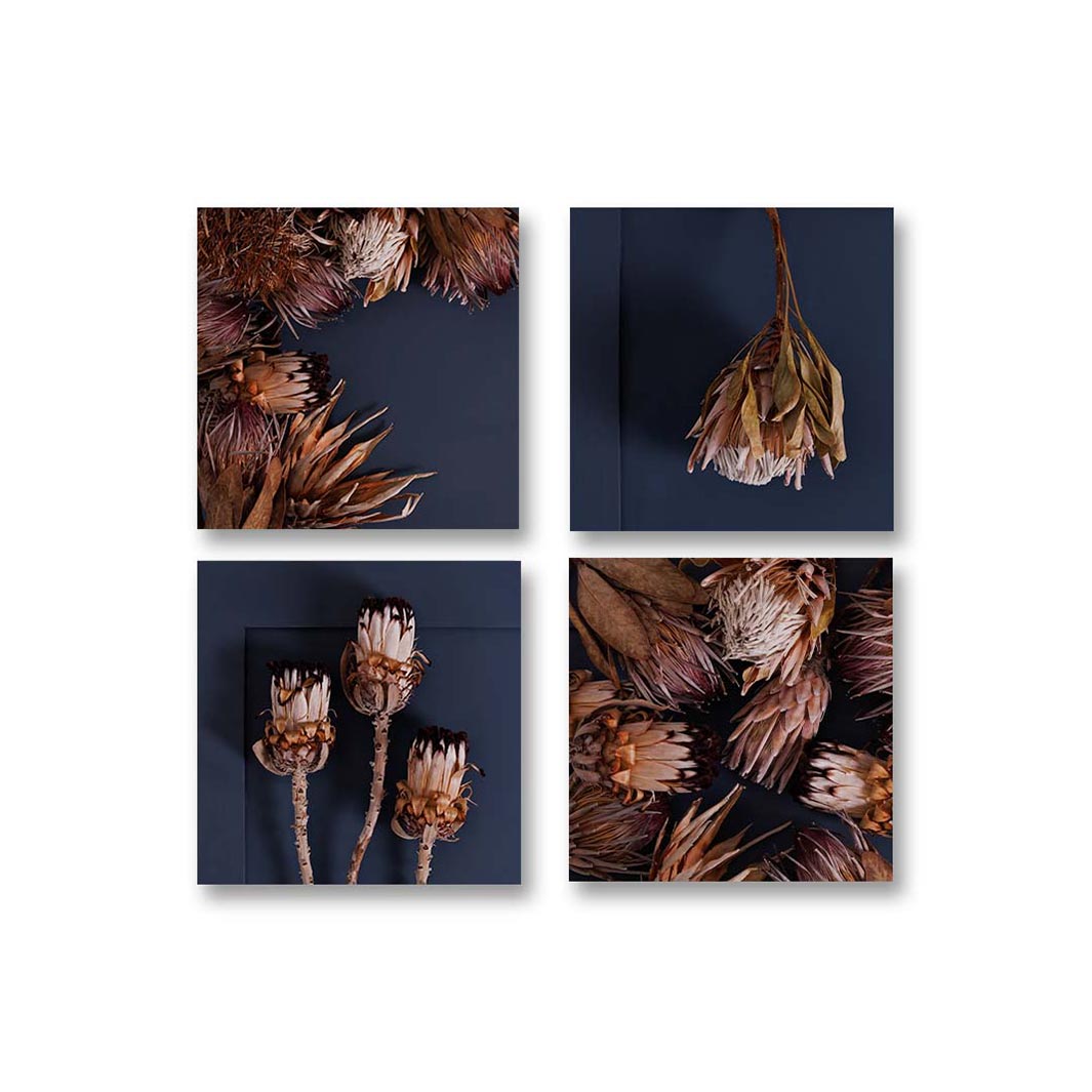 GOLDEN PROTEA ARRANGEMENT BIRCH BLOCK 4 PIECE COLLAGE