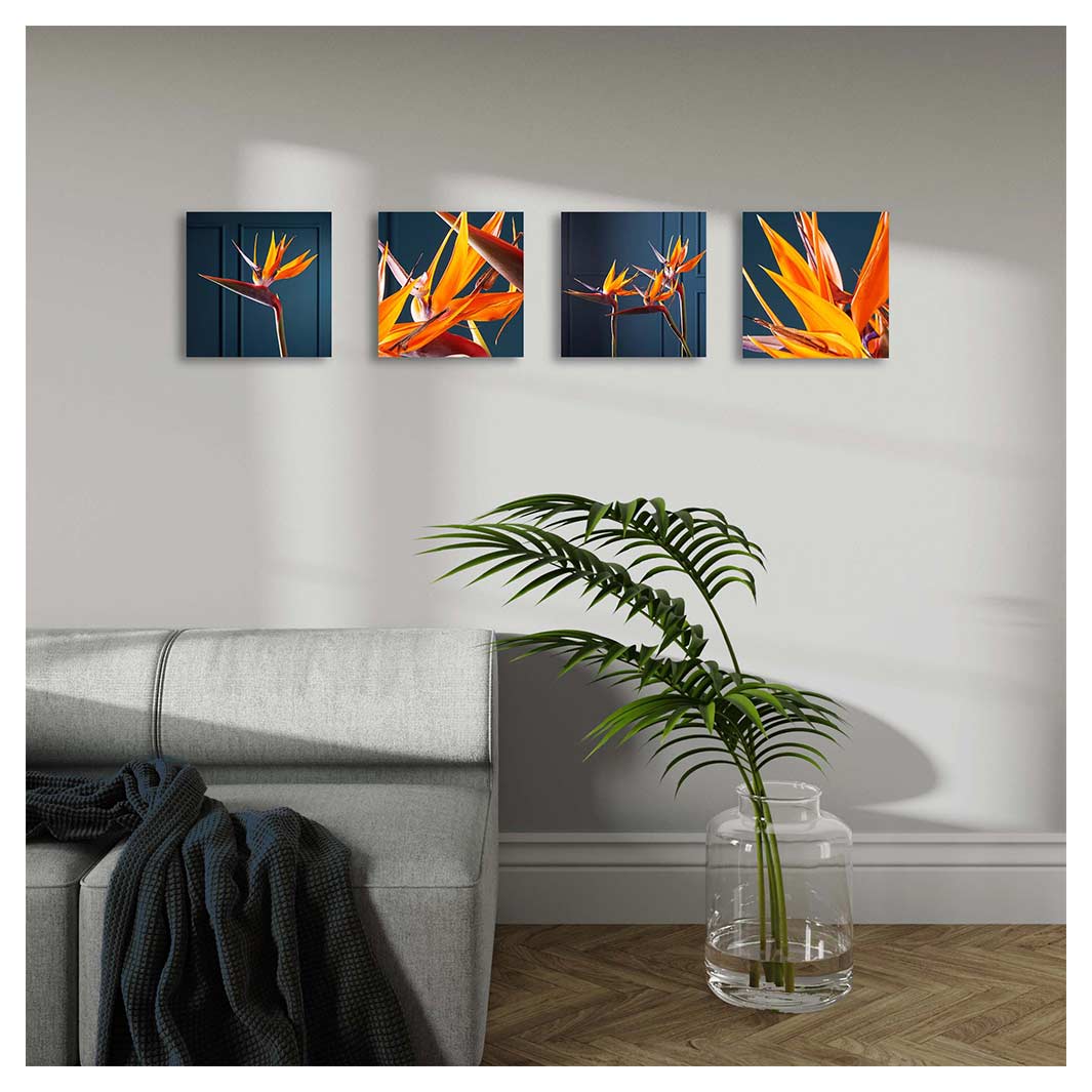 STRELITZIA ON DARK BLUE BIRCH BLOCK 4 PIECE COLLAGE