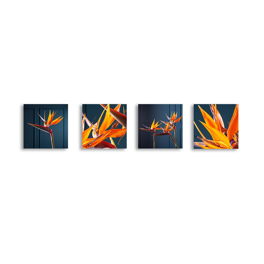 STRELITZIA ON DARK BLUE BIRCH BLOCK 4 PIECE COLLAGE
