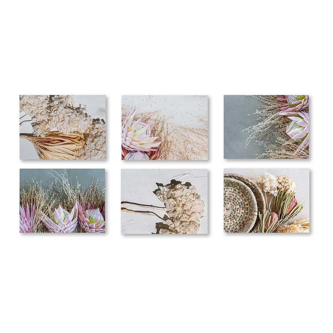 PROTEA HUES PINK AND GREY BIRCH BLOCKS 6 PIECE COLLAGE