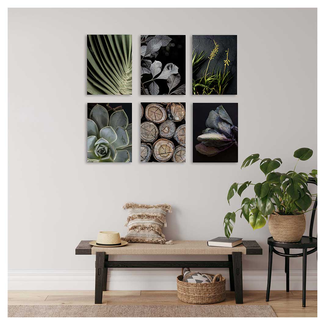 DRAMATIC BOTANICALS BIRCH BLOCKS 6 PIECE COLLAGE