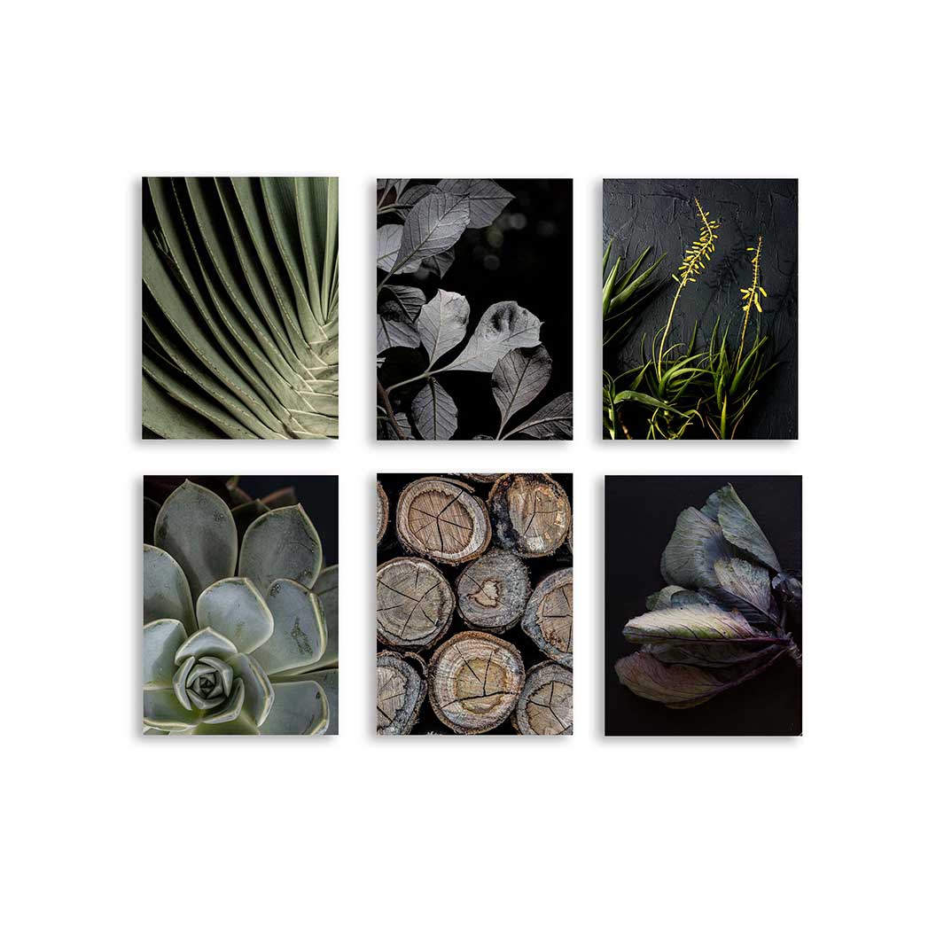 DRAMATIC BOTANICALS BIRCH BLOCKS 6 PIECE COLLAGE