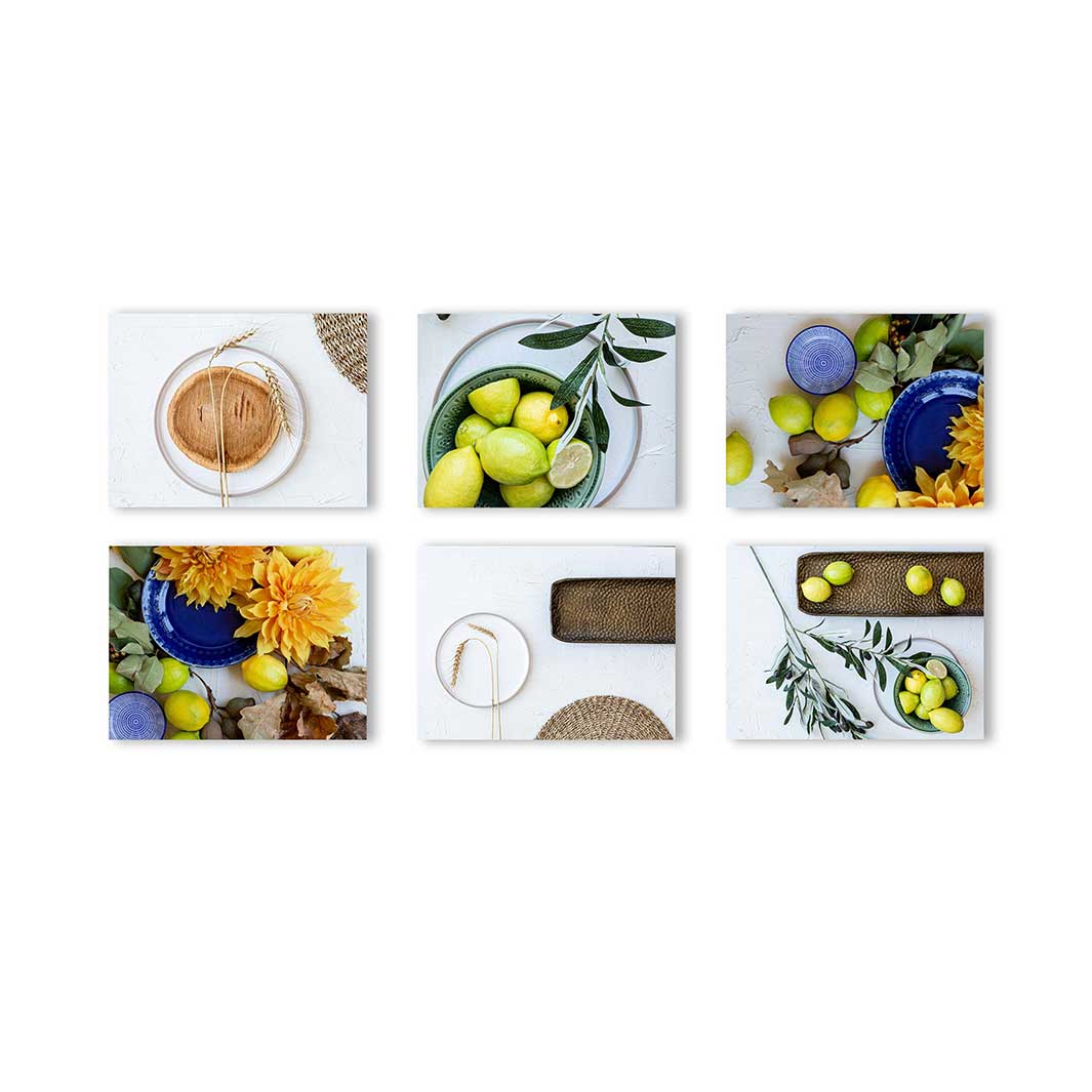 SAILOR'S PLATE LEMONS BIRCH BLOCKS 6 PIECE COLLAGE