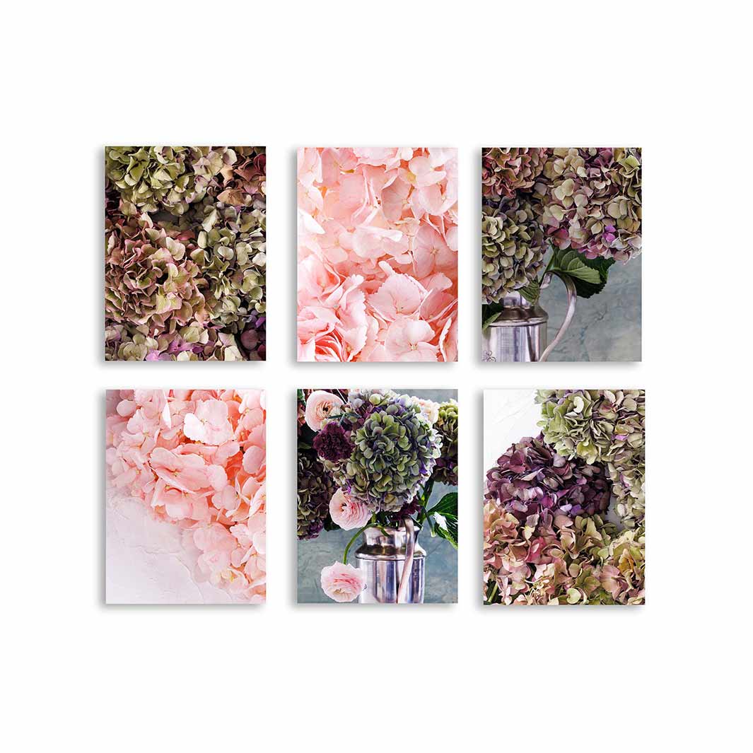 HYDRANGEA HUES BIRCH BLOCKS 6 PIECE COLLAGE