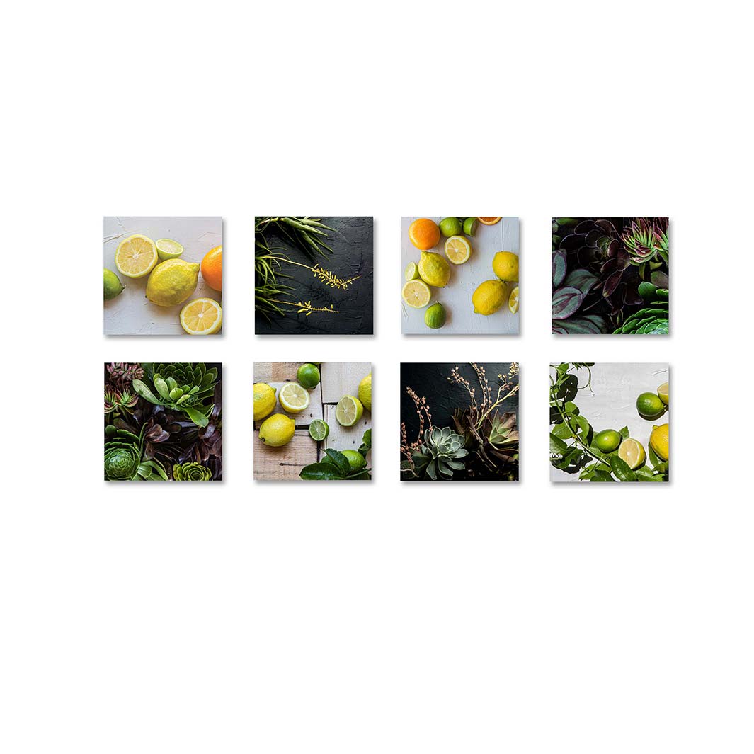 PERFECT CONTRAST LEMONS AND BLACK BIRCH BLOCK 8 PIECE COLLAGE