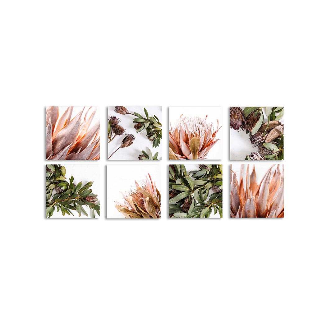 PROTEA FOLIAGE BLOOM BIRCH BLOCK 8 PIECE COLLAGE