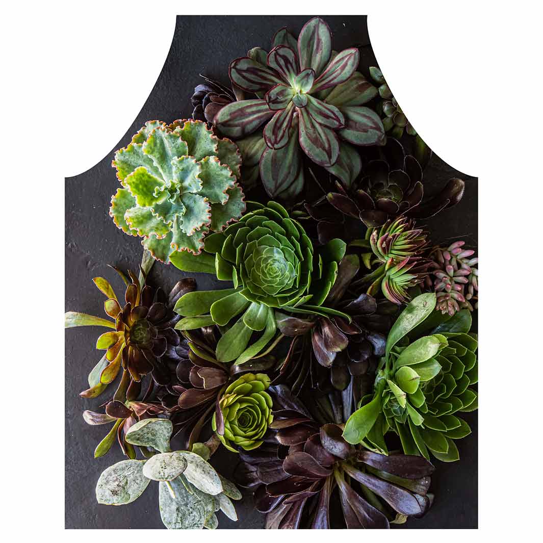 NATURAL GREEN AND PURPLE ALOE GARDEN APRON