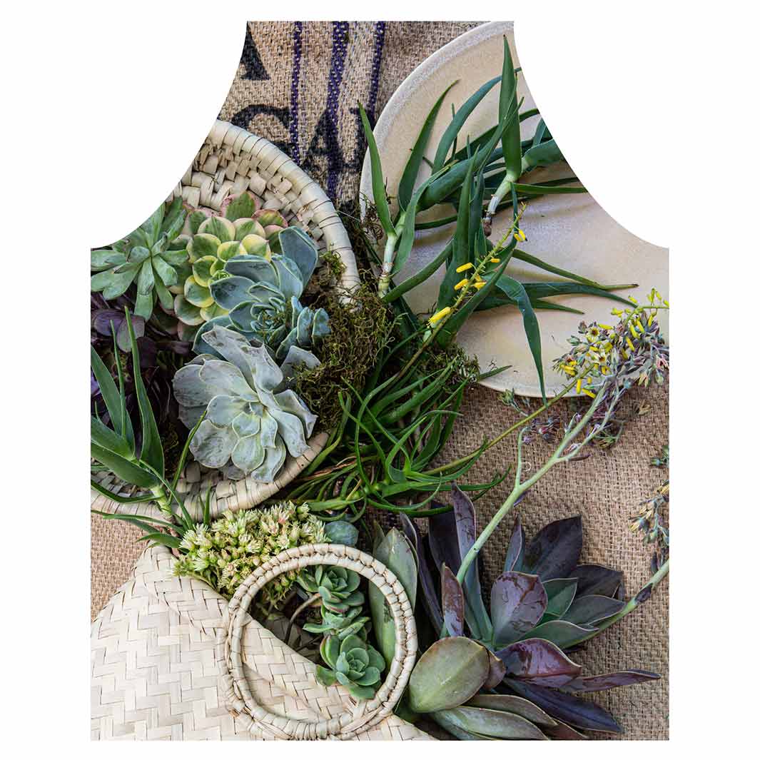 NATURAL GREEN ALOE BOUQUET IN BASKET ON HESSIAN APRON