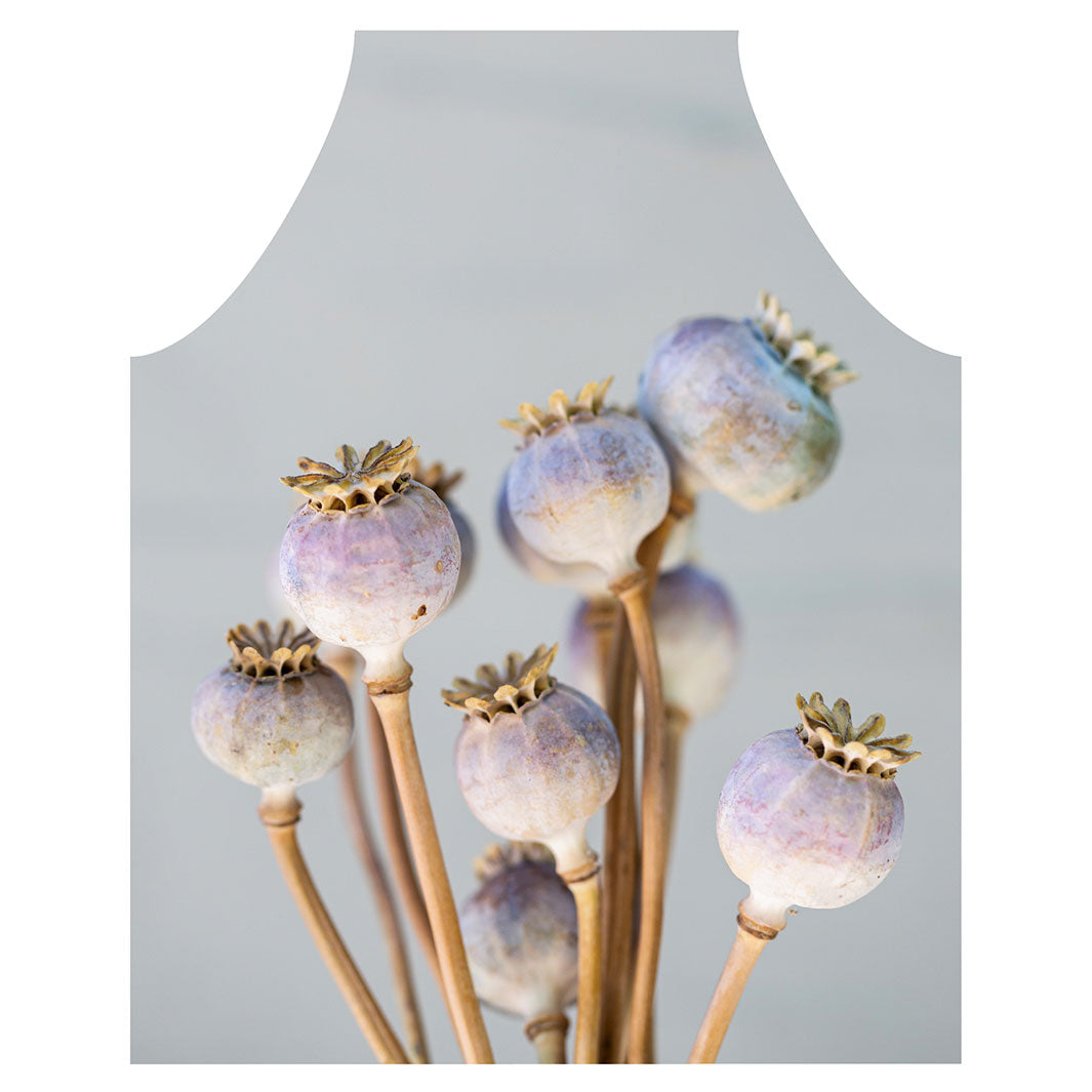 NATURAL PURPLE GIANT POPPY SEED BUNCH ON GREY APRON