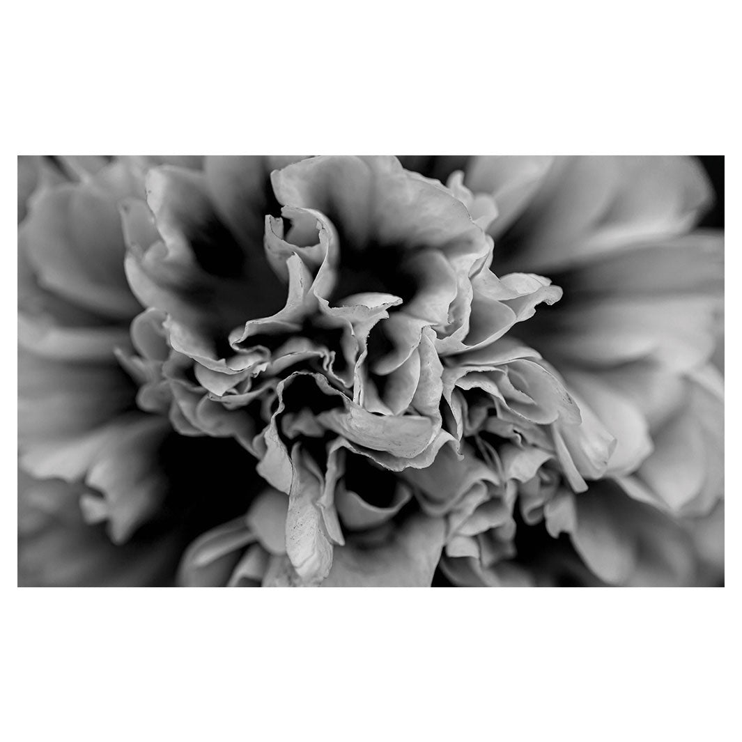 FLORAL BLACK AND WHITE PEONY ANTI-FATIGUE KITCHEN MAT