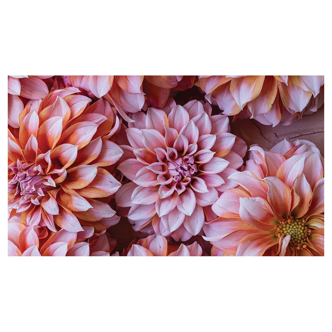 FLORAL PINK AND ORANGE DAHLIA FLOWERS ANTI-FATIGUE KITCHEN MAT