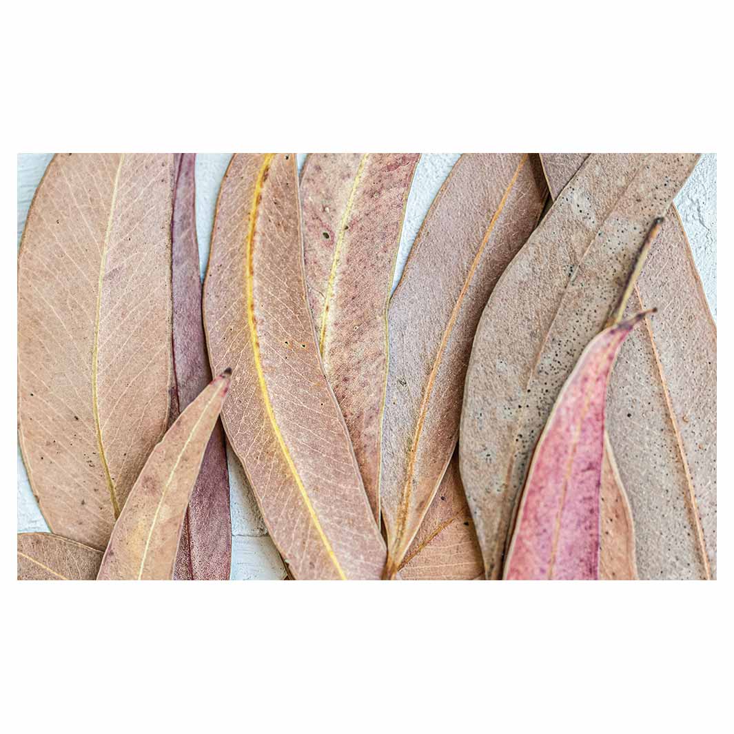 LEAVES PINK DRIED LEAVES ANTI-FATIGUE KITCHEN MAT