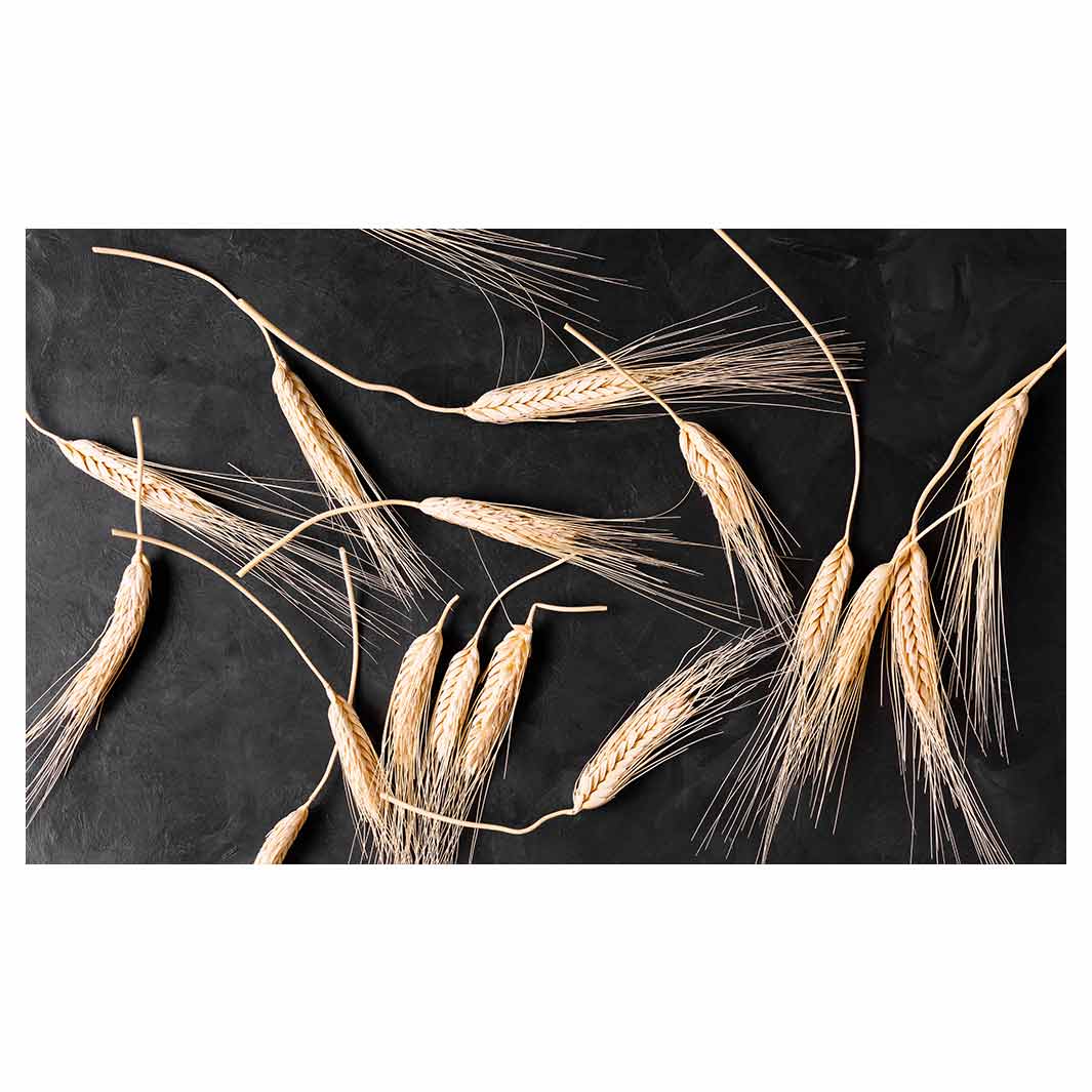 SCATTERED WHEAT ON BLACK ANTI-FATIGUE KITCHEN MAT
