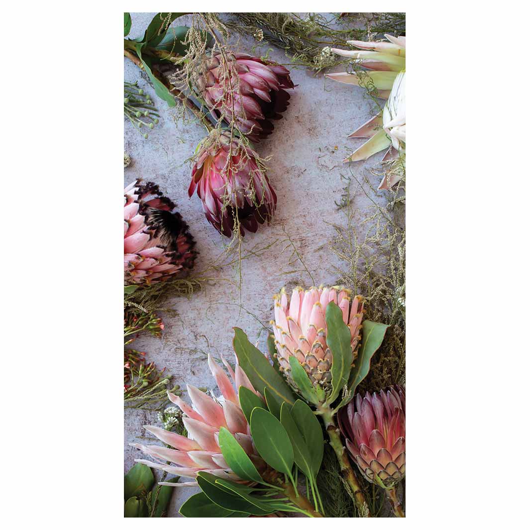 FLORAL PINK MIXED KING PROTEAS BUFF