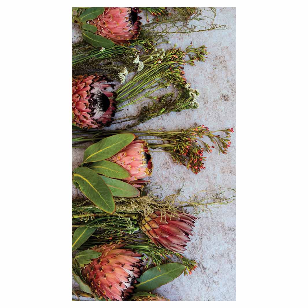 FLORAL PINK MIXED PROTEAS WITH GREEN FOLIAGE BUFF