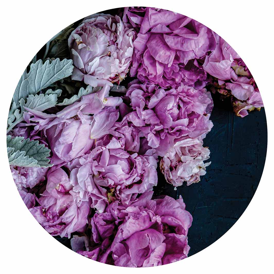 FLORAL SILVER LEAVES WITH PINK PEONIES ROUND CLOCK