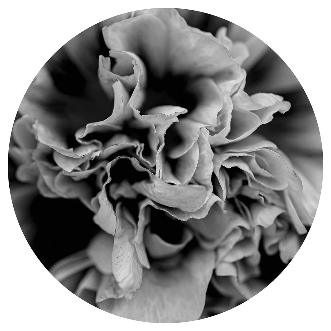 FLORAL BLACK AND WHITE PEONY ROUND CLOCK