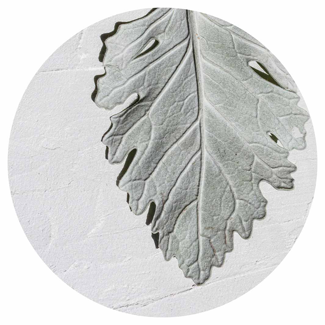 LEAVES GREY MONOCHROME LEAF ROUND CLOCK