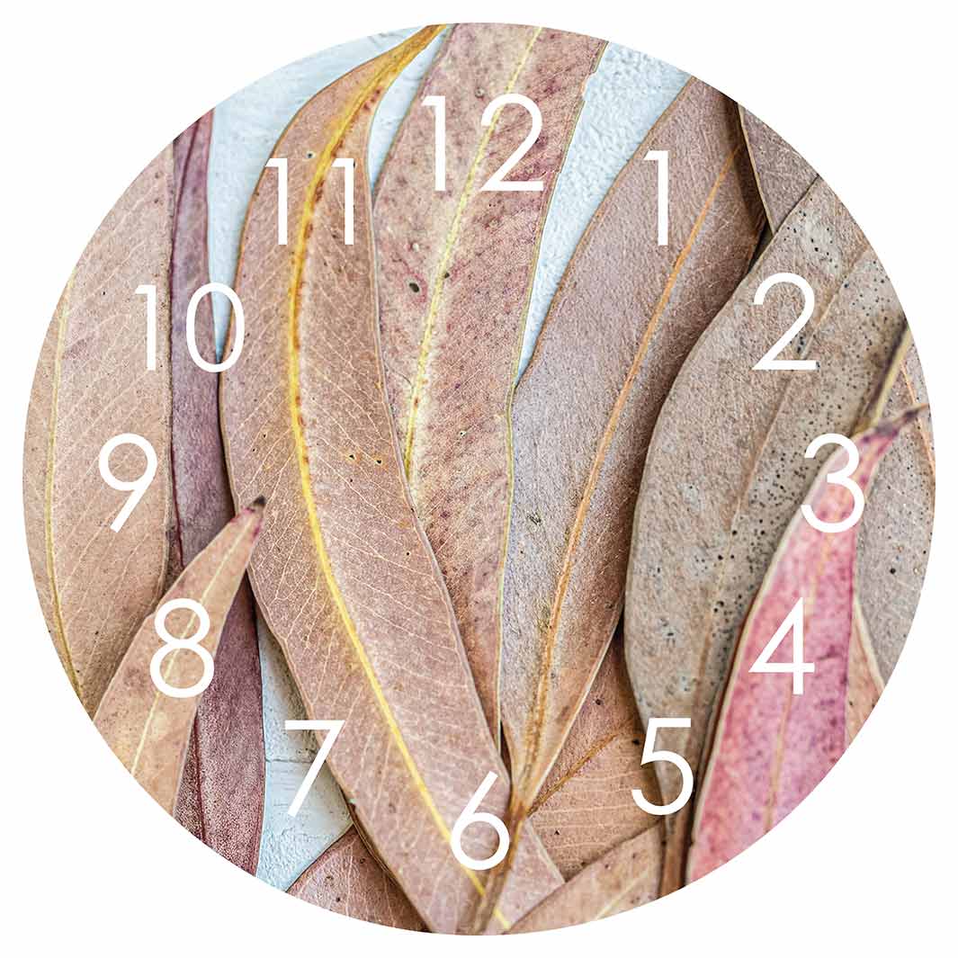 LEAVES PINK DRIED LEAVES ROUND CLOCK