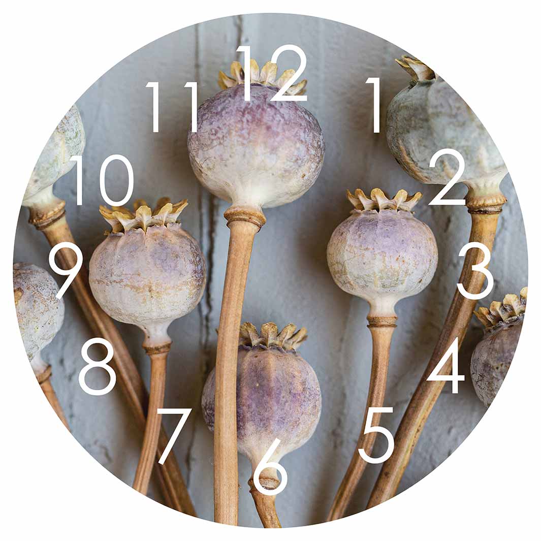 NATURAL PURPLE GIANT POPPY SEEDS ON GREY ROUND CLOCK