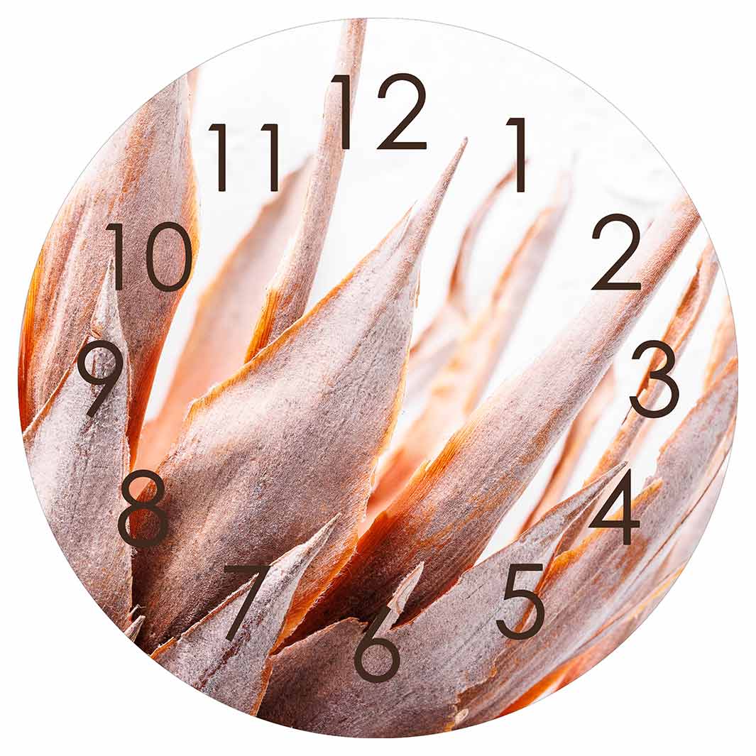 DRIED RUSTIC PINK PROTEA ROUND CLOCK