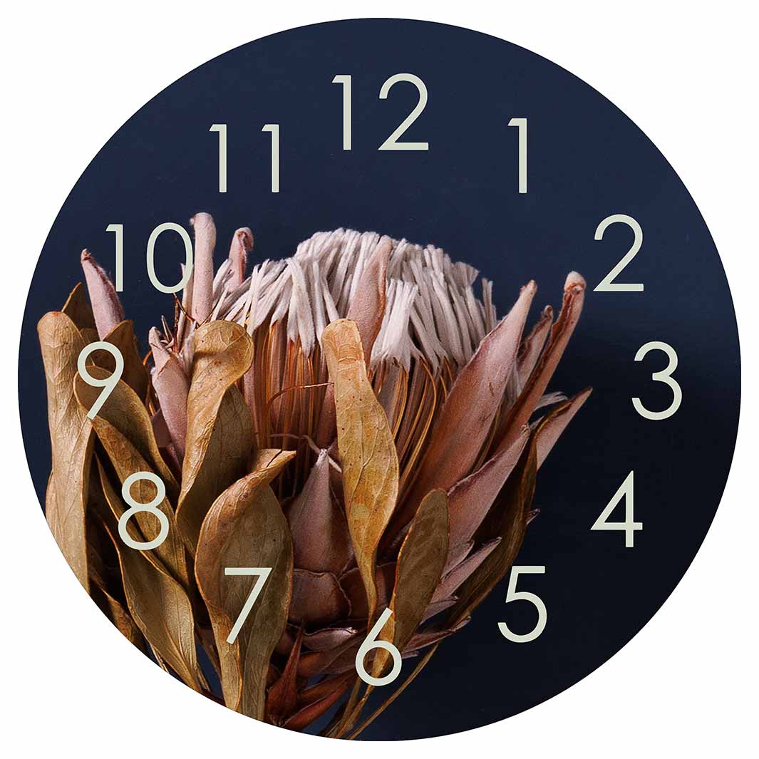 SINGLE PINK AND OLIVE PROTEA ON NAVY ROUND CLOCK