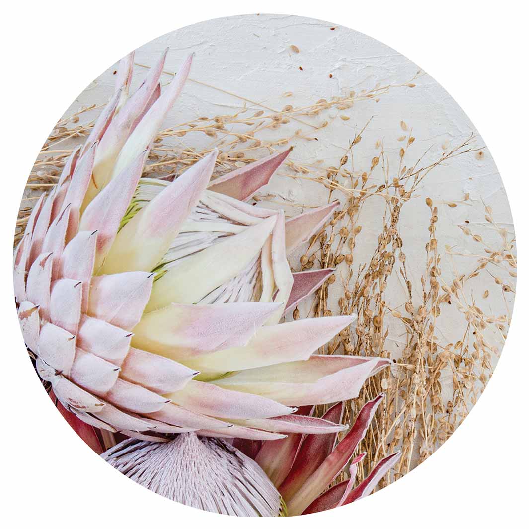FLORAL PINK GRASSY PROTEA ROUND COASTER