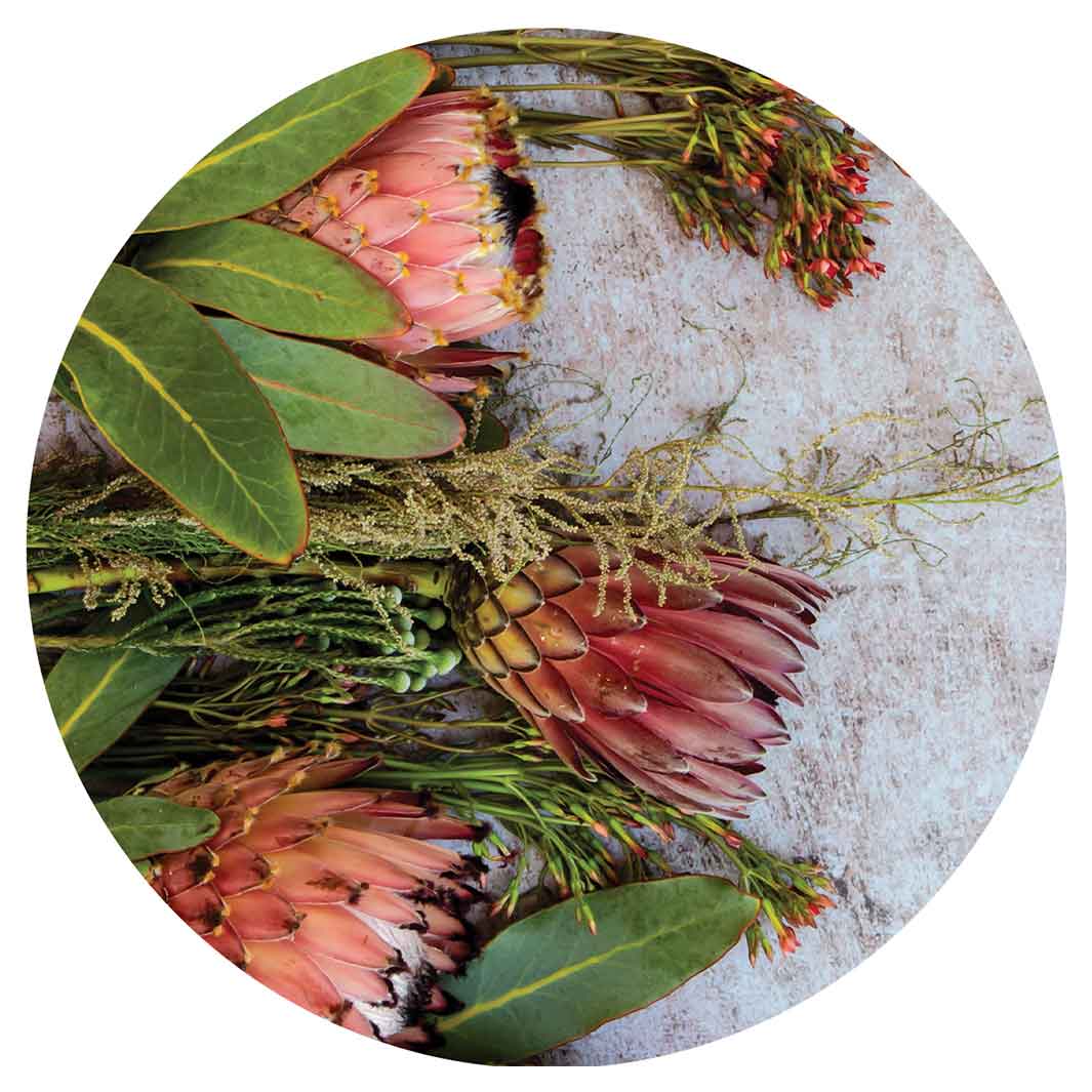 FLORAL PINK MIXED PROTEAS WITH GREEN FOLIAGE ROUND COASTER