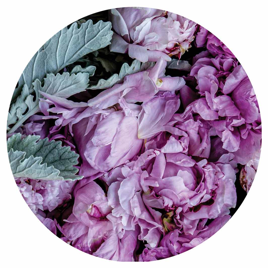 FLORAL SILVER LEAVES WITH PINK PEONIES ROUND COASTER