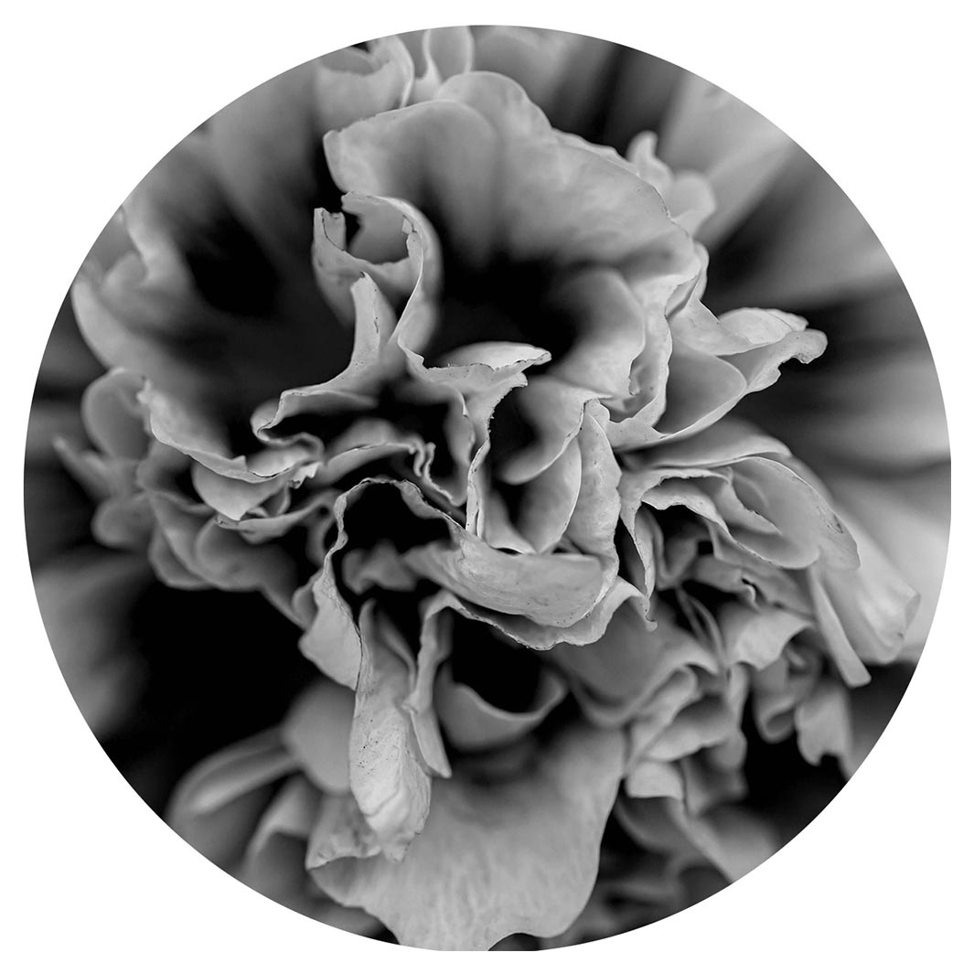 FLORAL BLACK AND WHITE PEONY ROUND COASTER