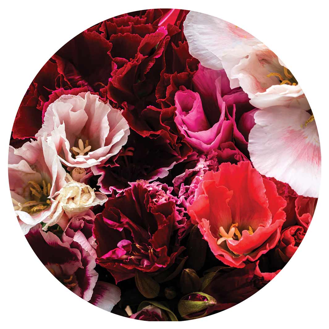 FLORAL PINK AND RED LISIANTHUS FLOWER MIX ROUND COASTER