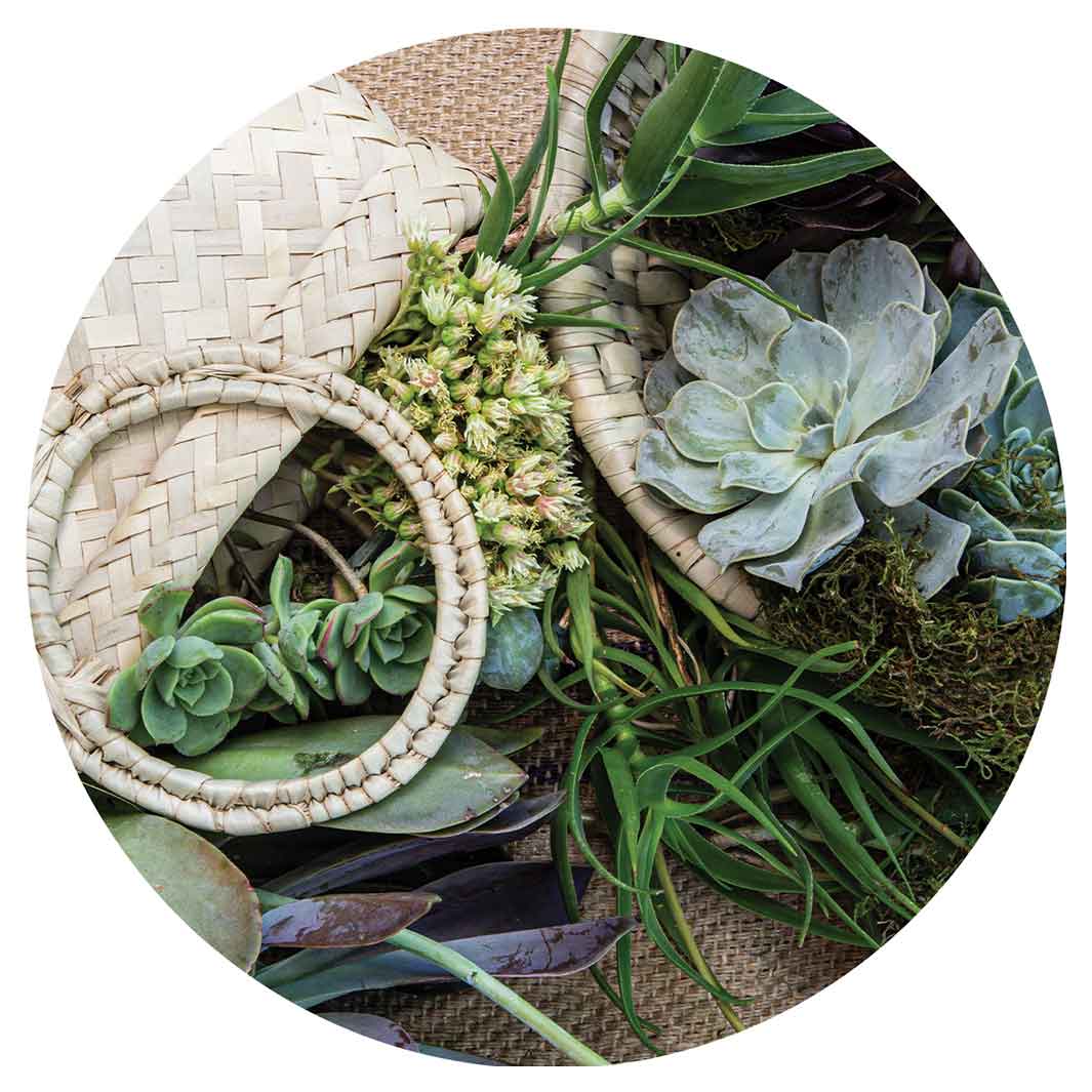 NATURAL GREEN ALOE BOUQUET IN BASKET ON HESSIAN ROUND COASTER
