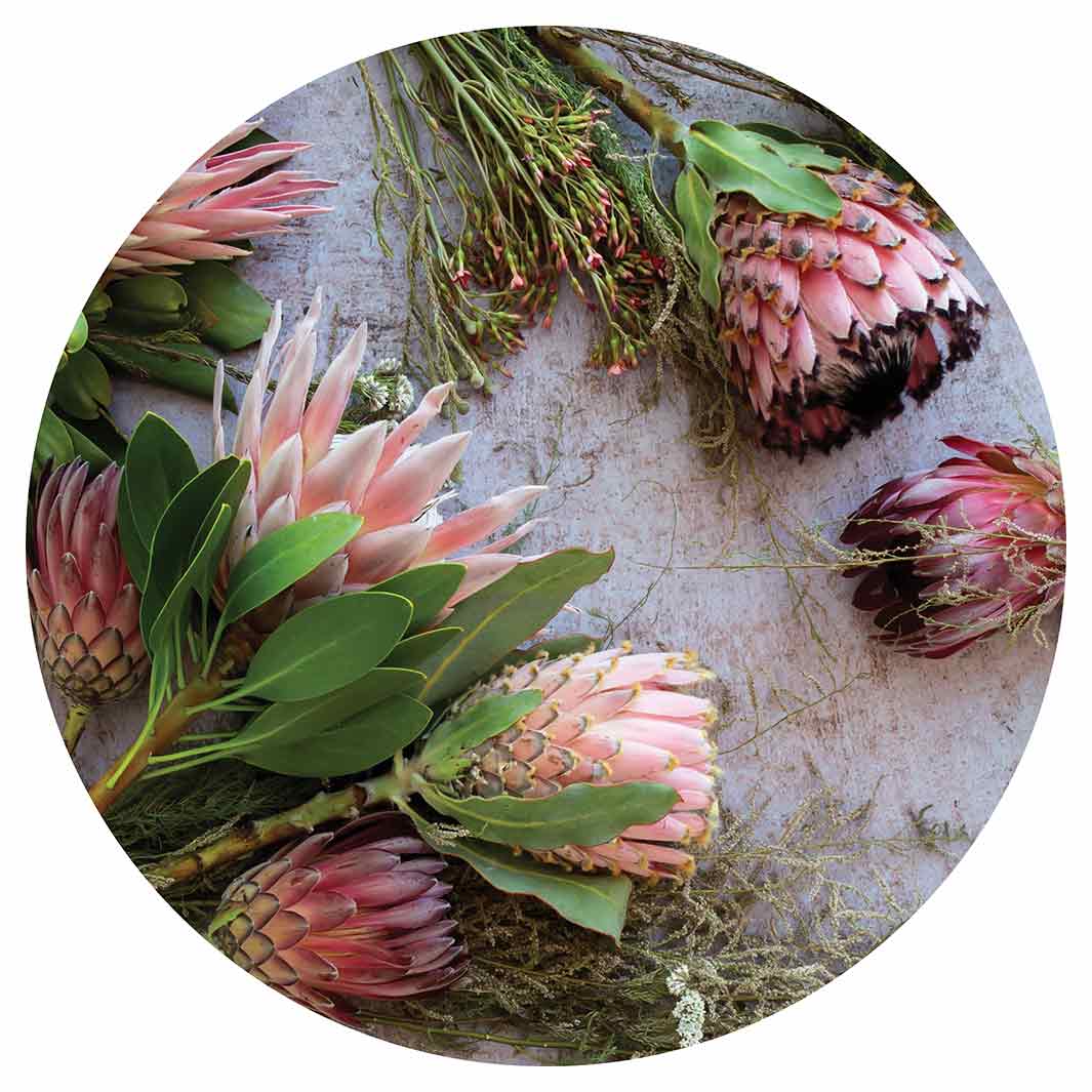 FLORAL PINK MIXED KING PROTEAS ROUND COFFEE TABLE