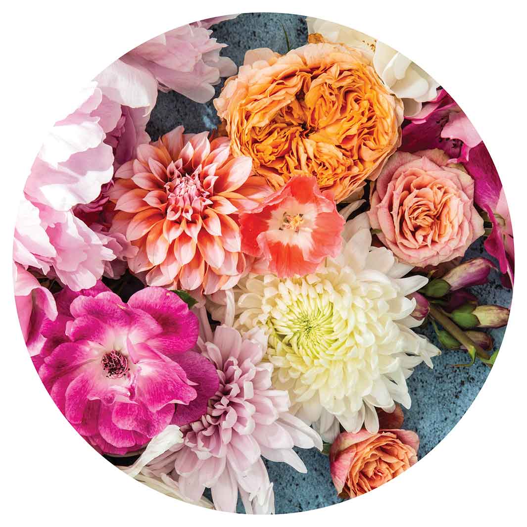 FLORAL PINK PEONY AND DAHLIA BOUQUET ON BLUE ROUND COFFEE TABLE
